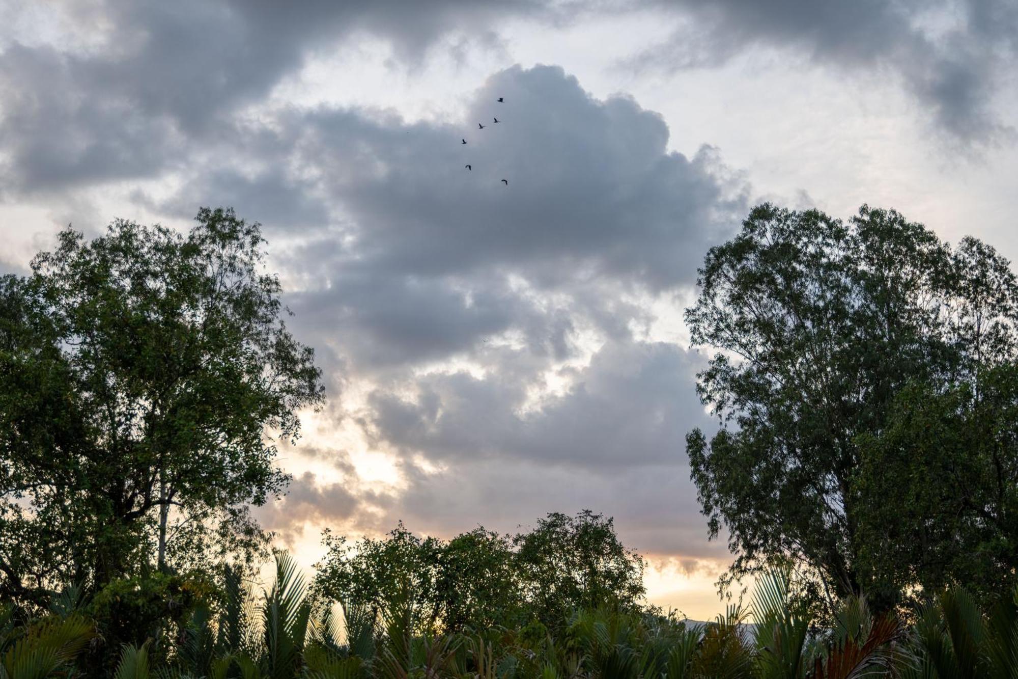 Kampot Eco Village Exterior photo